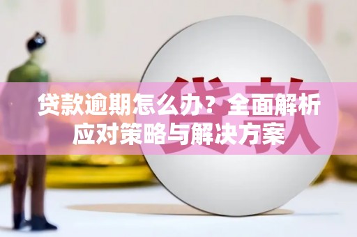 务川贷款逾期怎么办？全面解析应对策略与解决方案