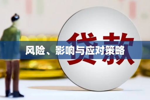 务川风险、影响与应对策略
