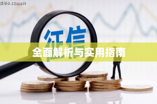 务川全面解析与实用指南