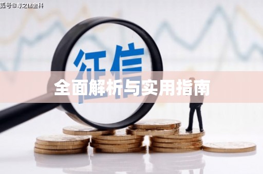 务川全面解析与实用指南