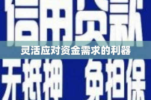 务川灵活应对资金需求的利器