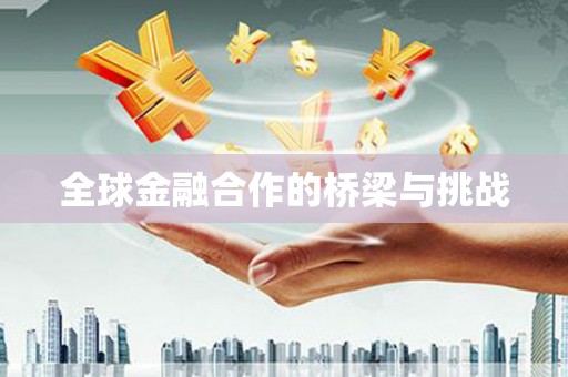 务川全球金融合作的桥梁与挑战