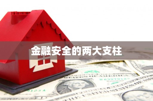 务川金融安全的两大支柱