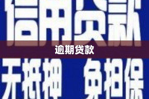 务川逾期贷款