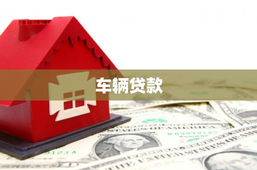 务川车辆贷款
