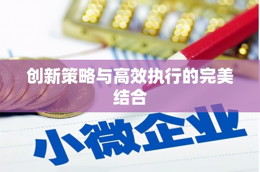 务川创新策略与高效执行的完美结合