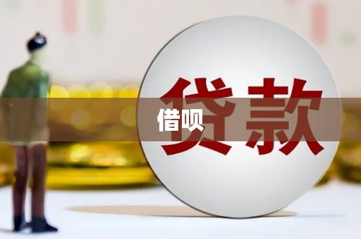务川借呗