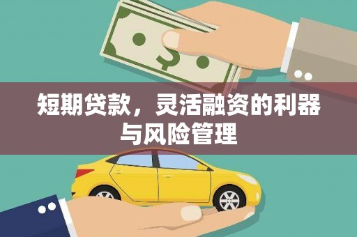务川短期贷款，灵活融资的利器与风险管理
