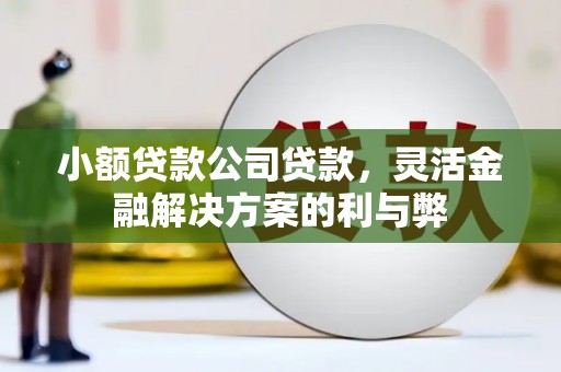 务川小额贷款公司贷款，灵活金融解决方案的利与弊