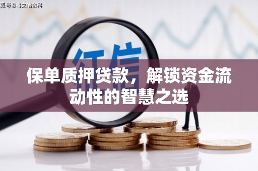 务川保单质押贷款，解锁资金流动性的智慧之选