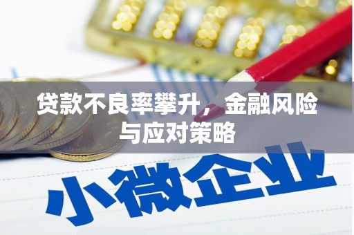 务川贷款不良率攀升，金融风险与应对策略