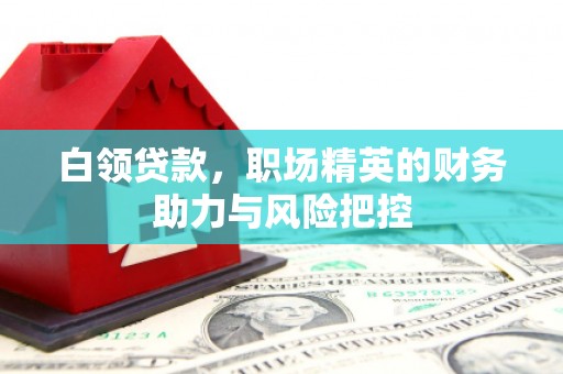 务川白领贷款，职场精英的财务助力与风险把控