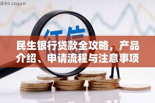 务川民生银行贷款全攻略，产品介绍、申请流程与注意事项