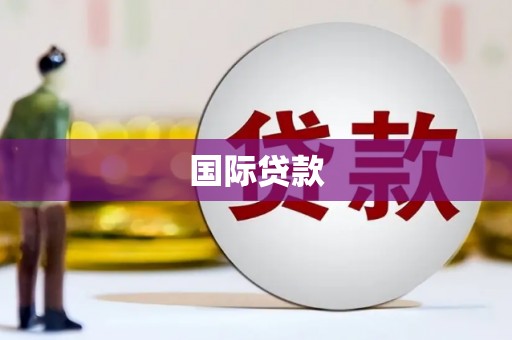 务川国际贷款